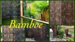 Tuinartikelen, Bamboe, franse hekwerken, Brandhout